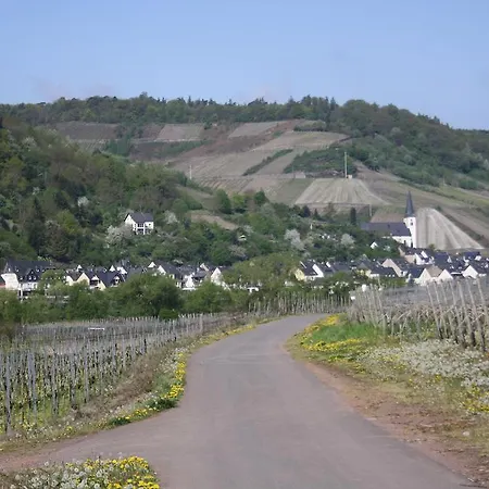 Konukevi Weingut Goeres