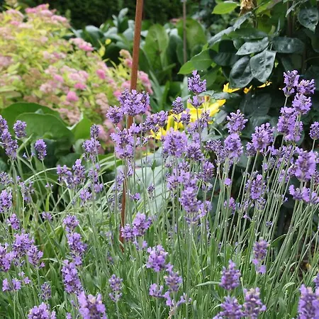 Weingut Goeres Gasthof