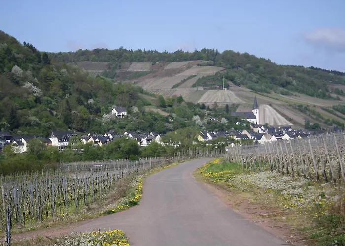 Pensjonat Weingut Goeres