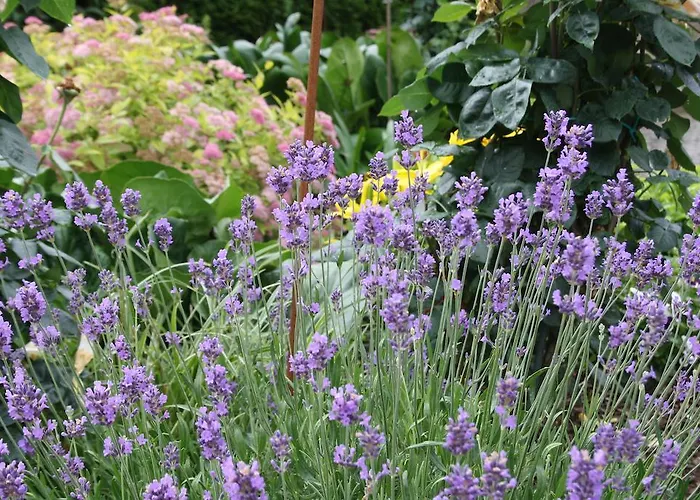 Weingut Goeres Pensjonat